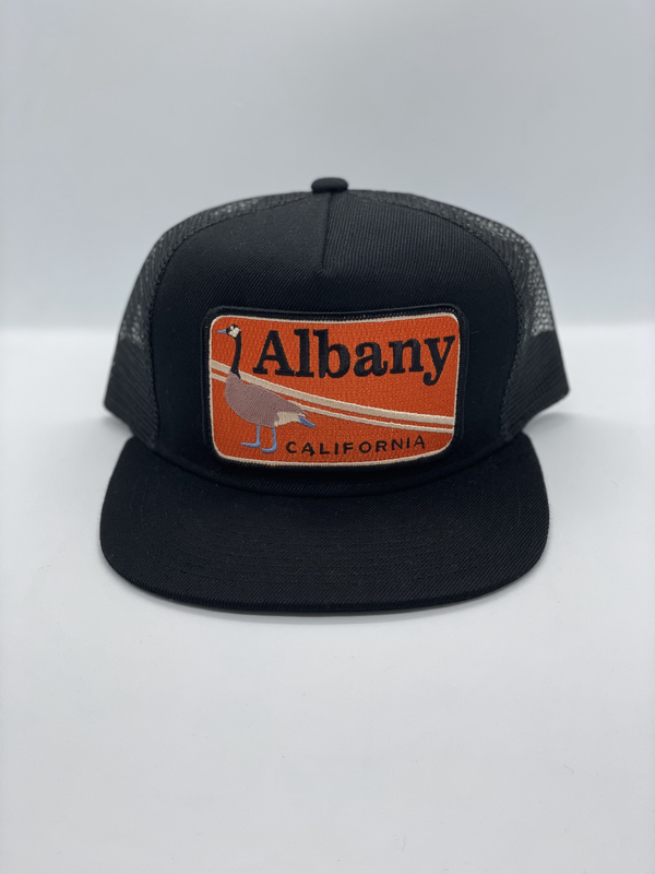 Sombrero de bolsillo de ganso Albany