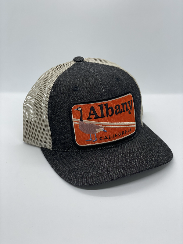 Sombrero de bolsillo de ganso Albany
