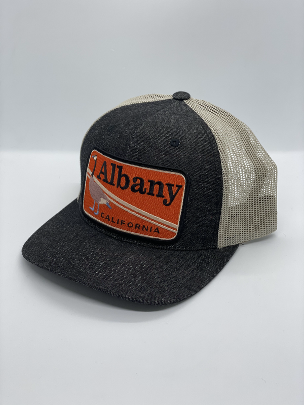 Sombrero de bolsillo de ganso Albany