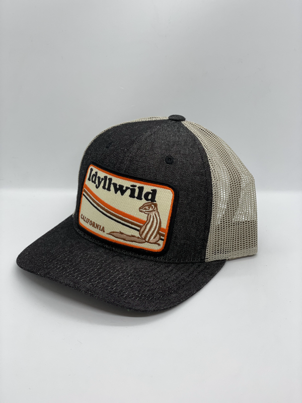 Idyllwild Pocket Hat