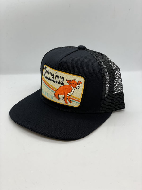 Chihuahua Mexico Pocket Hat