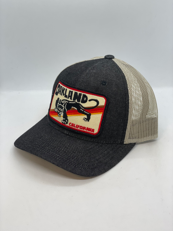 Gorro de bolsillo Oakland Panther