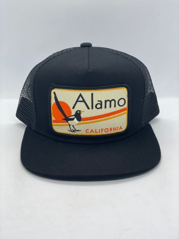 Sombrero de bolsillo de Álamo