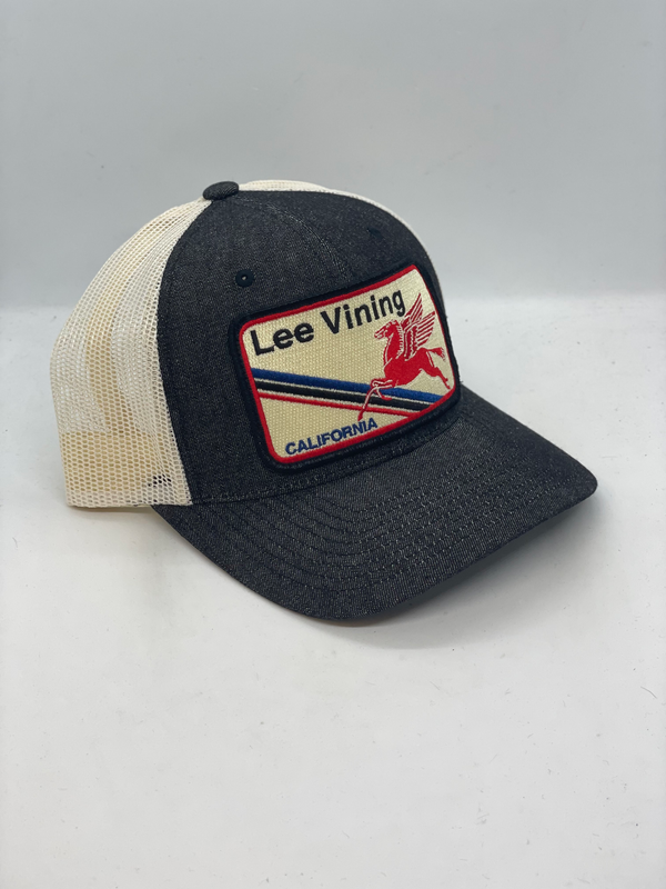 Lee Vining Pocket Hat