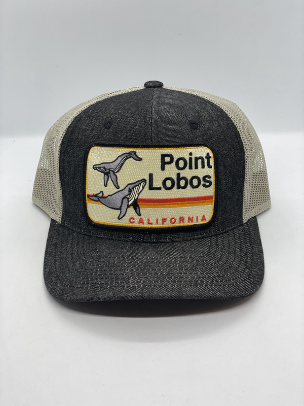 Gorro de bolsillo Point Lobos