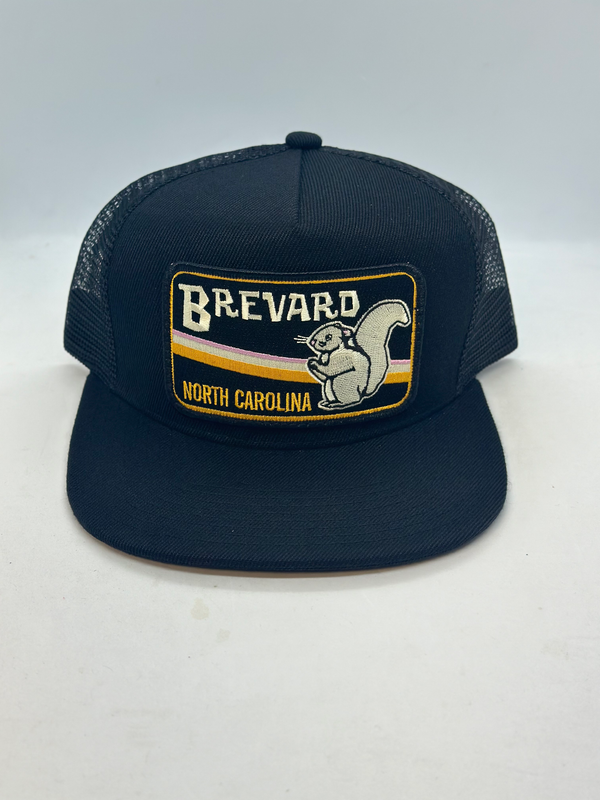 Sombrero de bolsillo Brevard Carolina del Norte