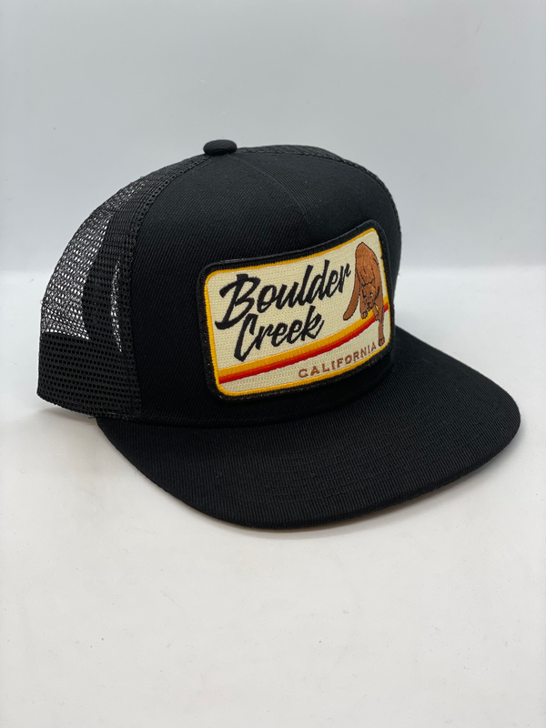Gorro de bolsillo con león de montaña de Boulder Creek