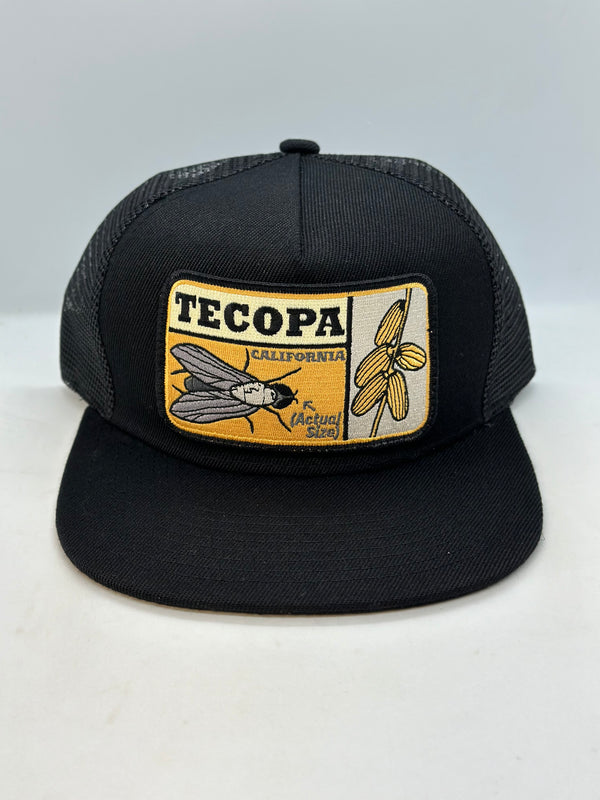 Tecopa Pocket Hat (Updated 2025)