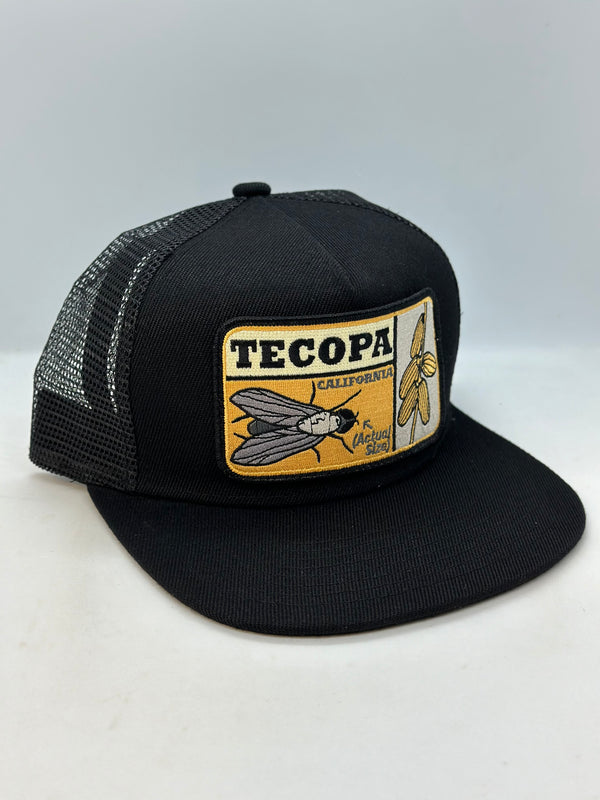 Tecopa Pocket Hat (Updated 2025)