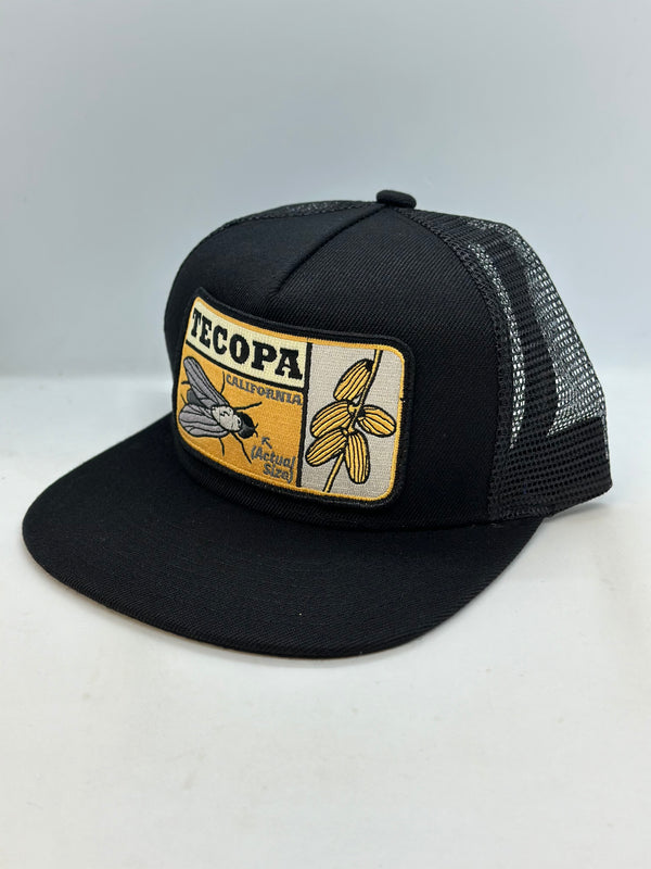 Tecopa Pocket Hat (Updated 2025)
