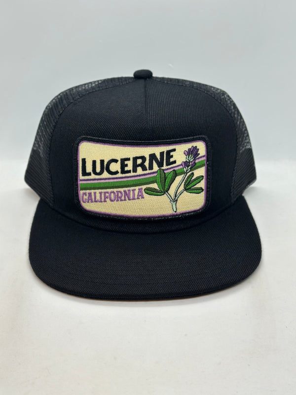 Sombrero de bolsillo chihuahua