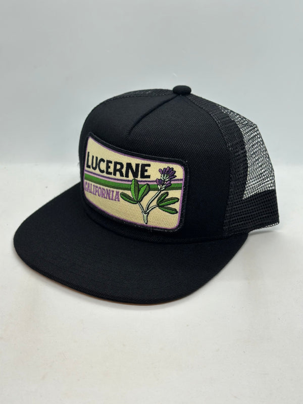 Sombrero de bolsillo chihuahua