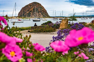 5 Underrated Pit Stops on Highway 1 (That Aren't Big Sur)