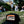 Austin Texas Bat Pocket Hat