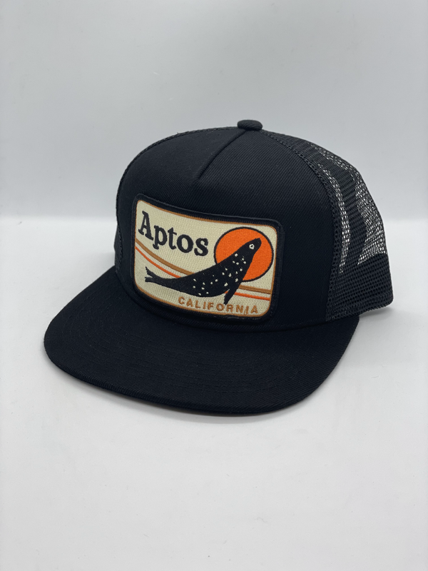 Sombrero de bolsillo Aptos