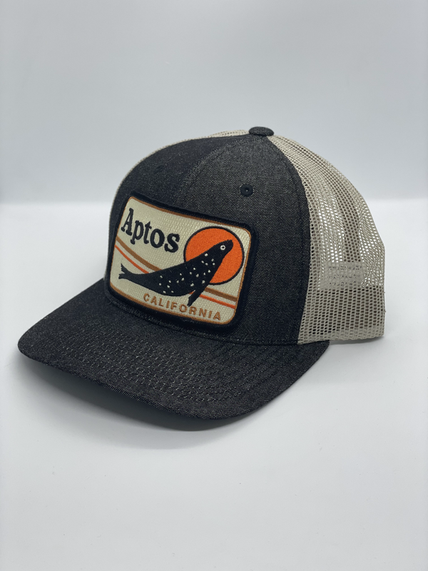 Aptos Pocket Hat