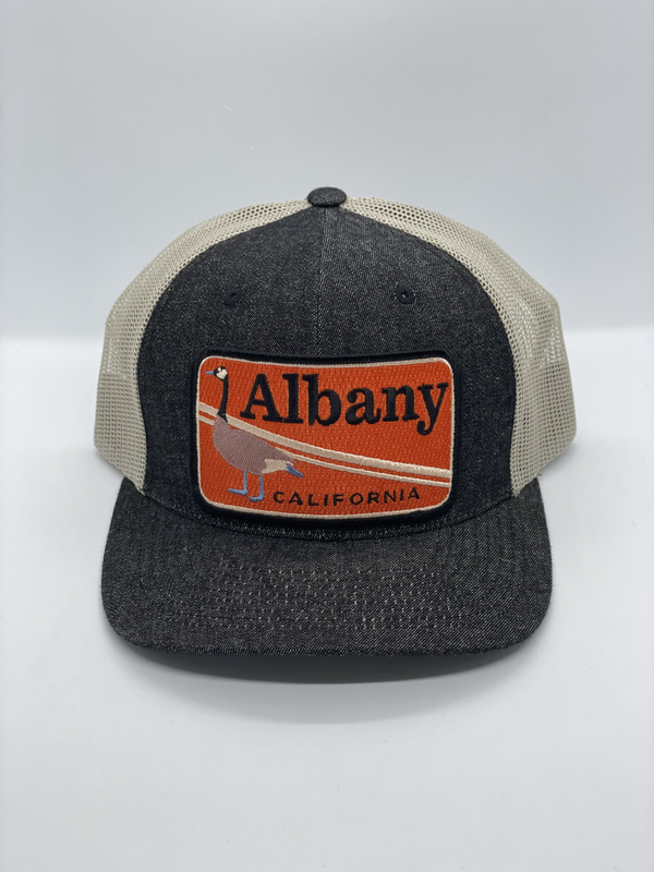 Sombrero de bolsillo de ganso Albany