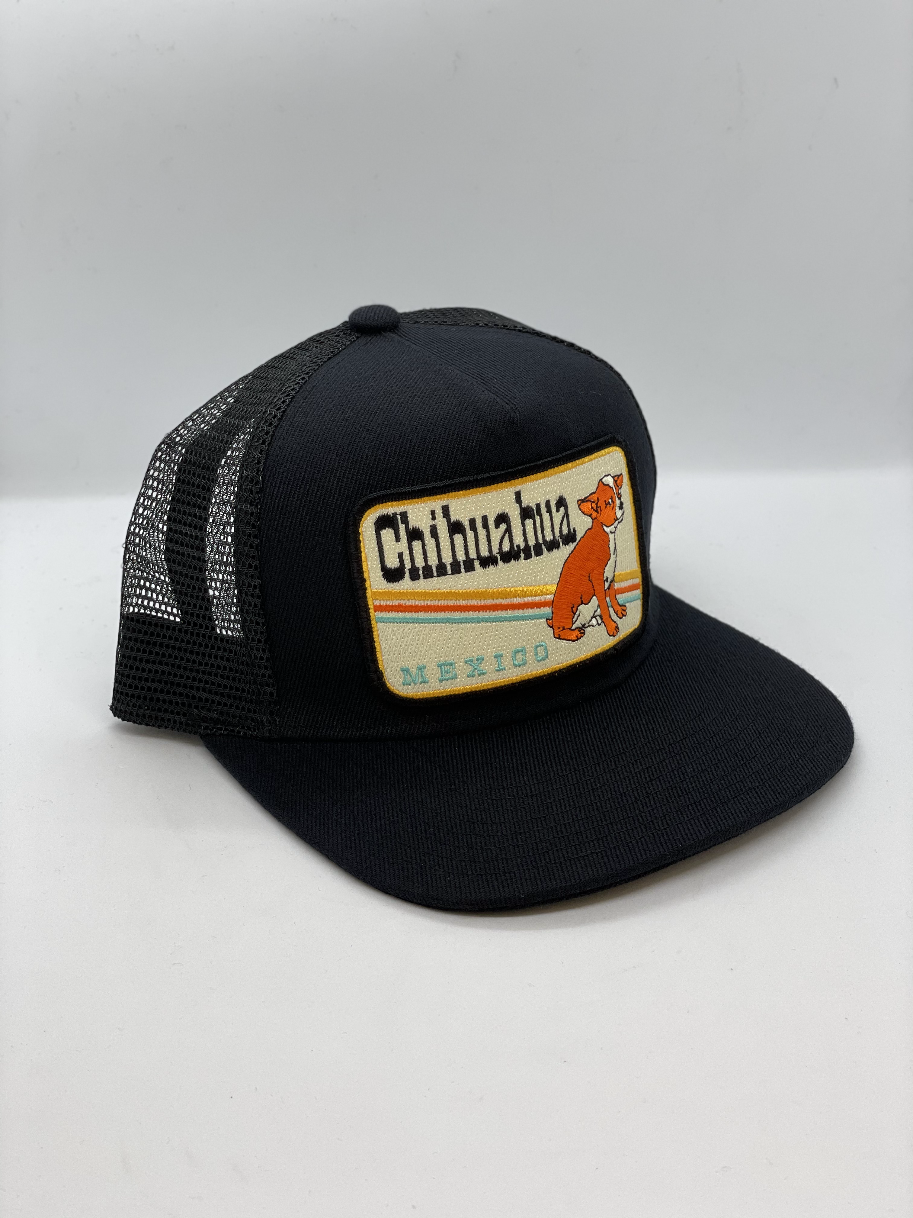 Hat Chihuahuas Team Shop Baseball Team Most Iconic Baseball Hats