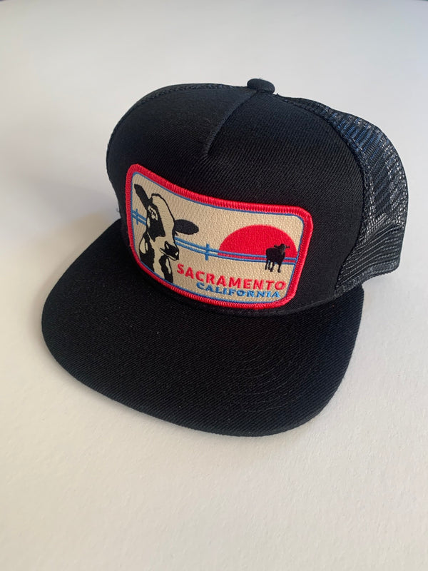 Sacramento Cow Pocket Hat