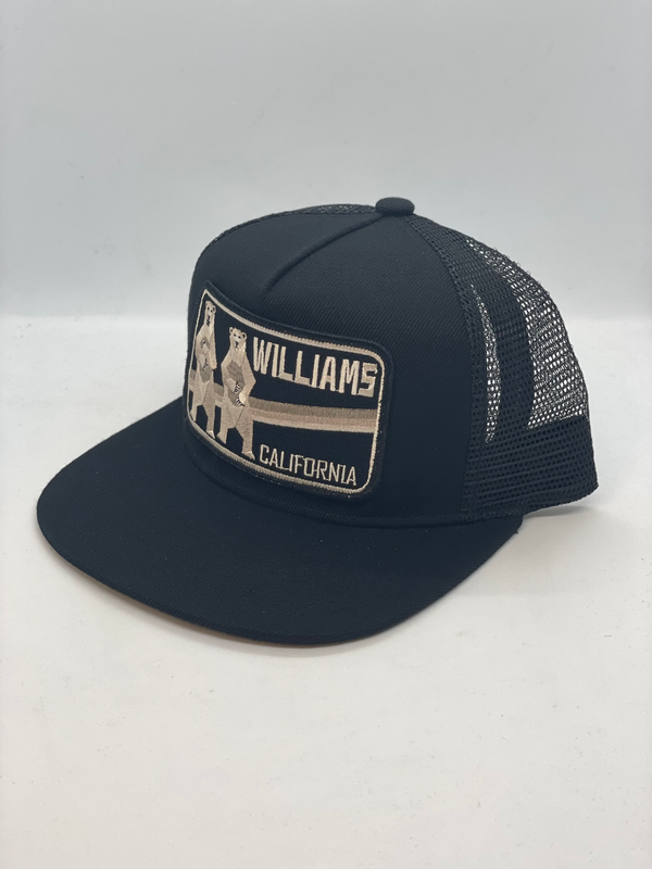 Williams Bears Pocket Hat