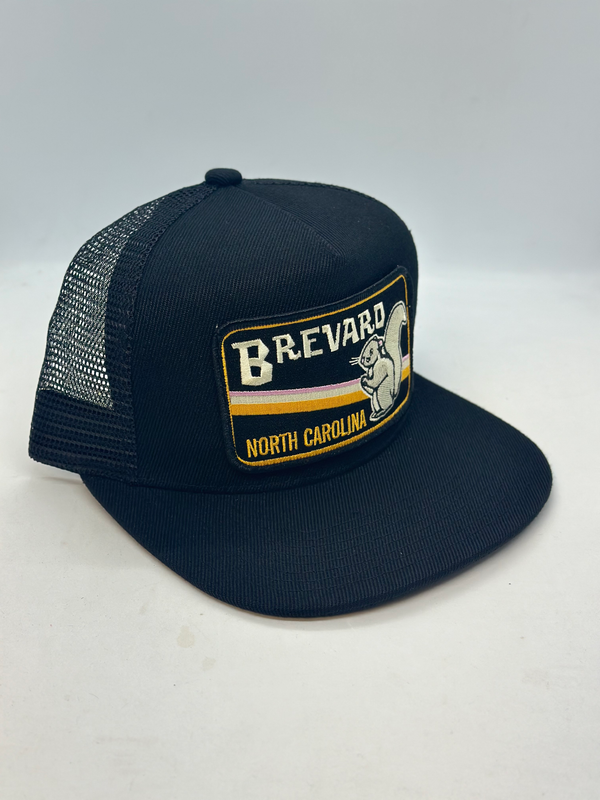 Sombrero de bolsillo Brevard Carolina del Norte