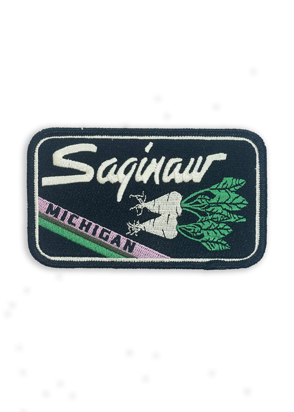 Saginaw Michigan Patch