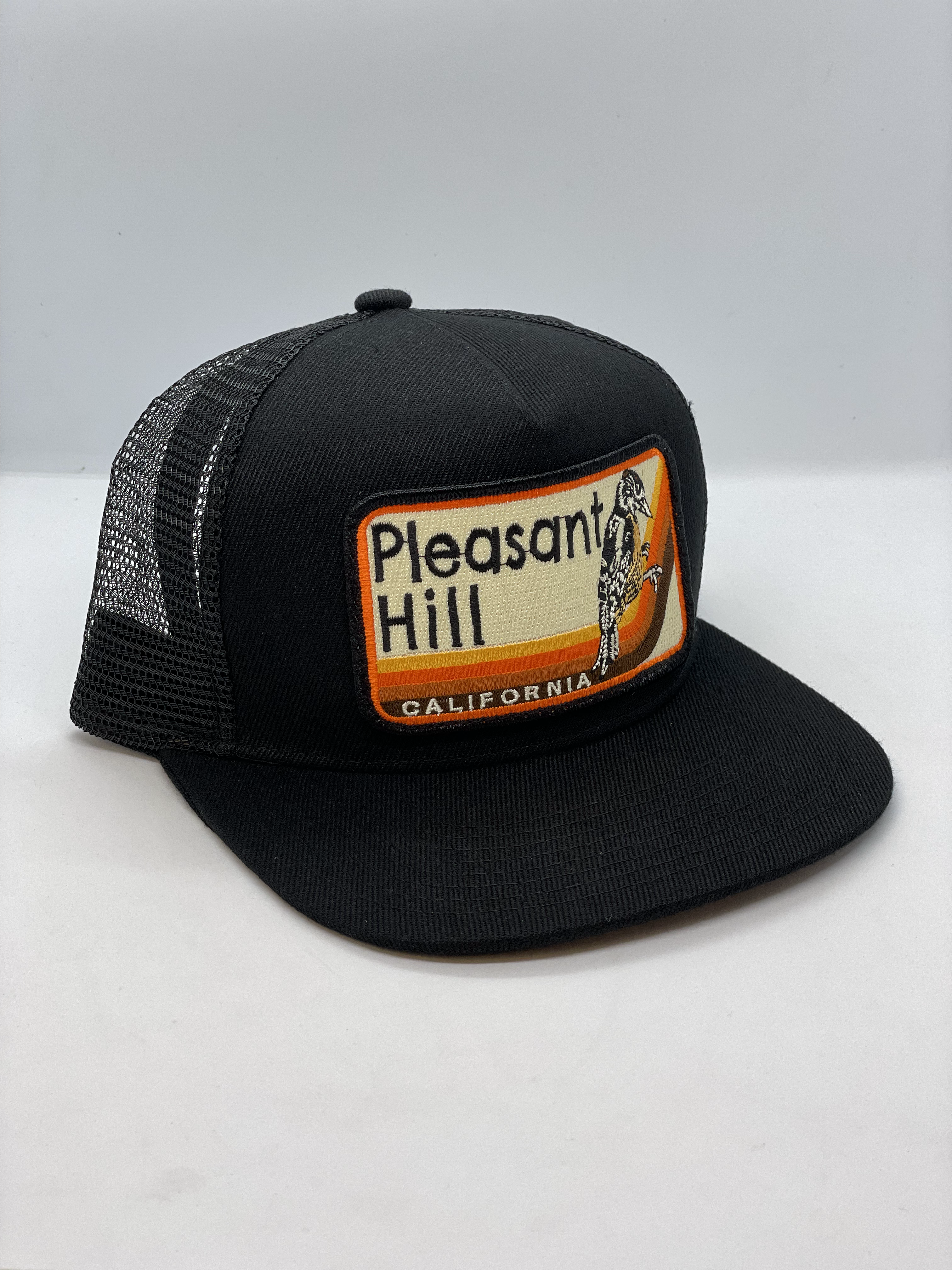 Pleasant Hill Pocket Hat (bird) – Bart Bridge
