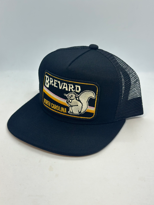 Brevard North Carolina Pocket Hat