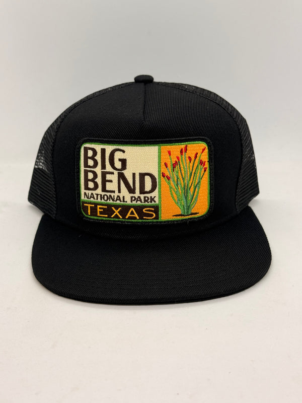 Sombrero de bolsillo de cerdo Houston Texas