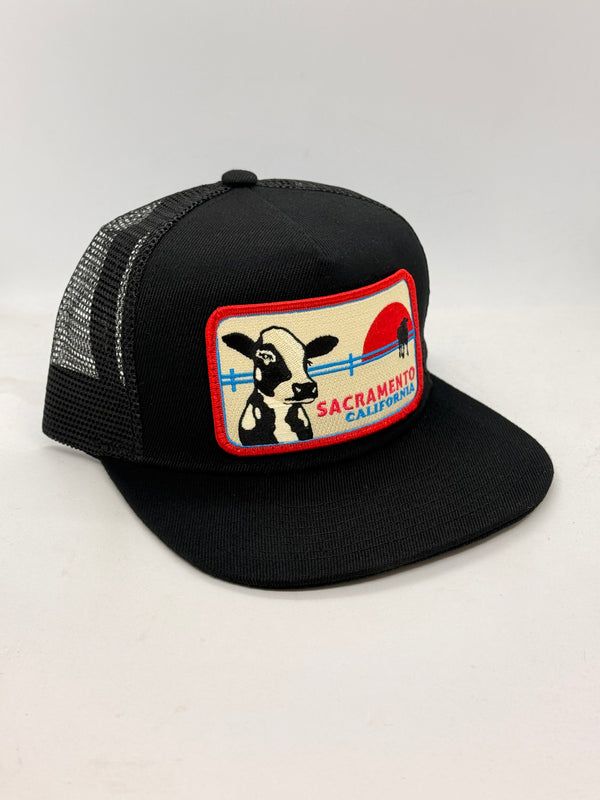 Sacramento Cow Pocket Hat