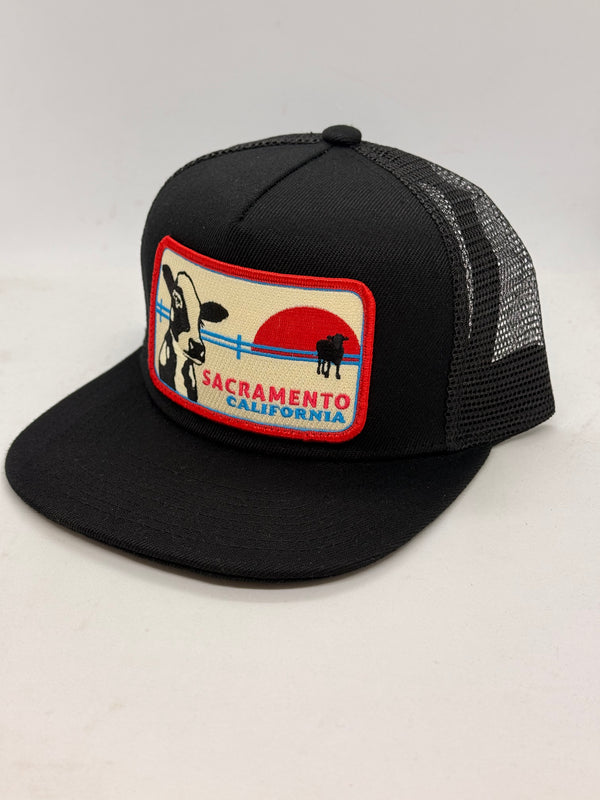 Sacramento Cow Pocket Hat