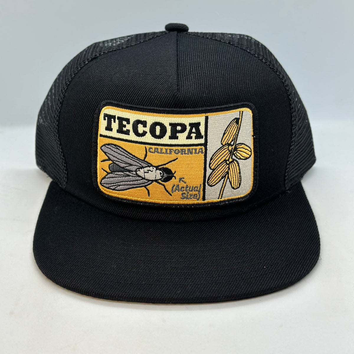Tecopa Pocket Hat (Updated 2025) – Bart Bridge