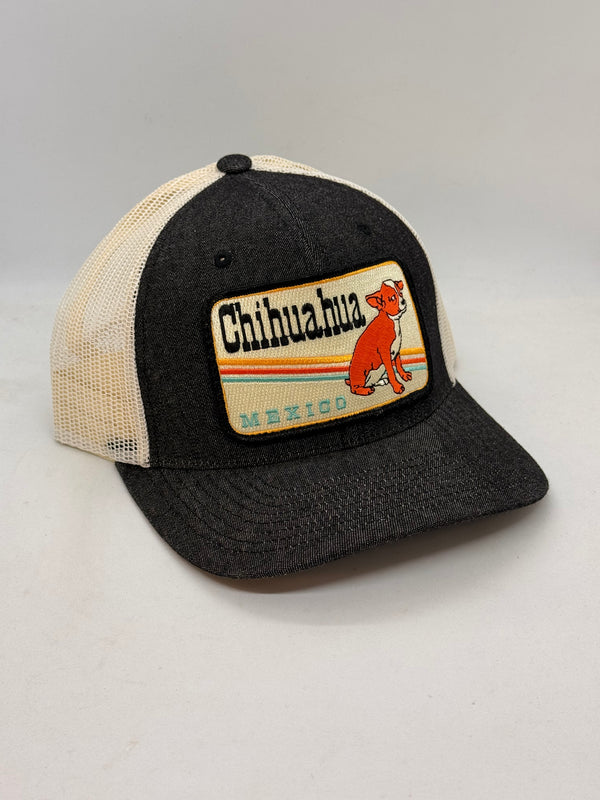 Chihuahua Mexico (Dog) Pocket Hat