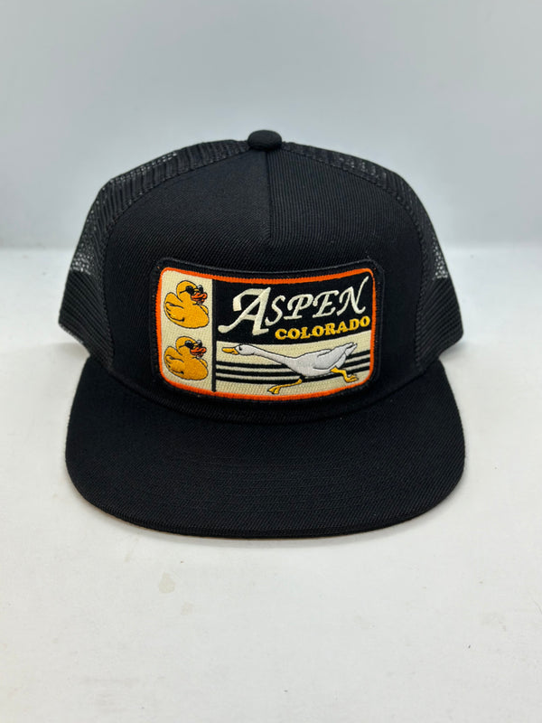 Aspen Colorado Ducks Pocket Hat